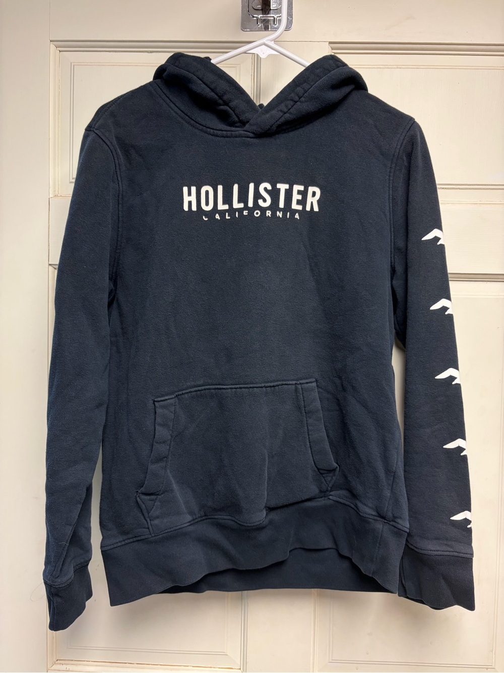 Hollister Men's Hoodie